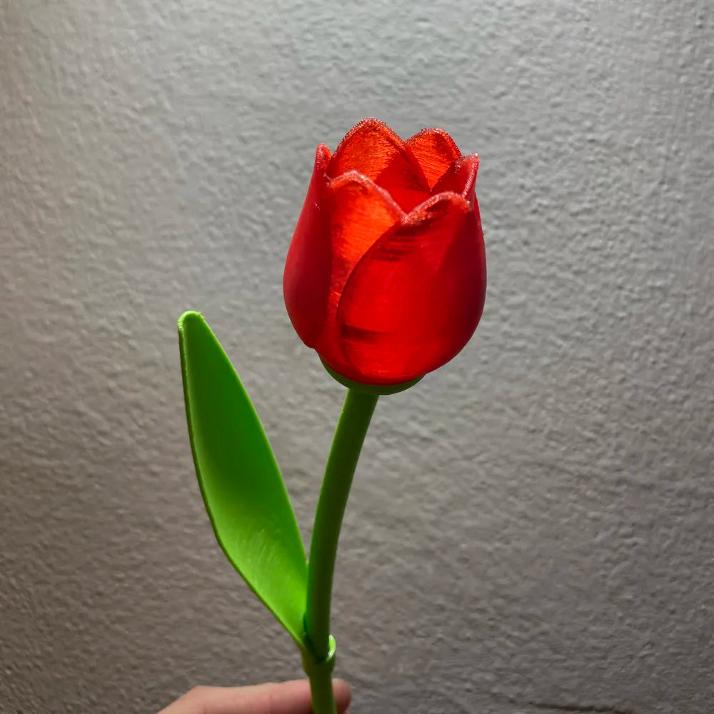 Beautiful Tulip With Stem - Valentine’s day Gift - Poetic Vision