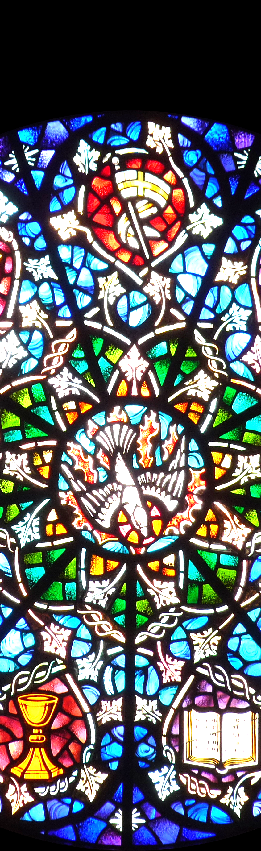 Gothic Cathedral Bundle - Poetic Vision