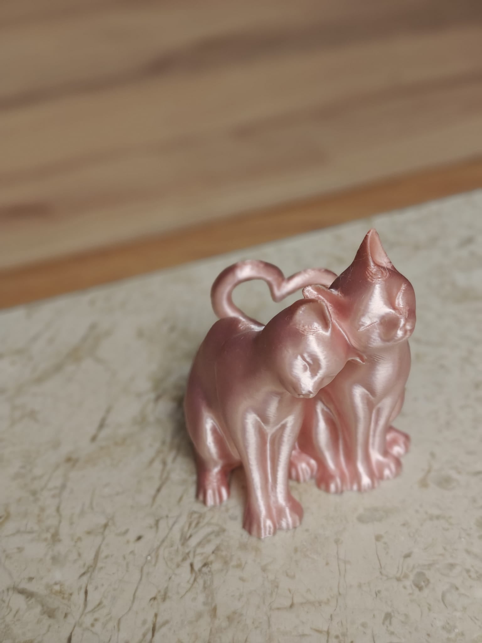 Purrs & Hearts - Poetic Vision