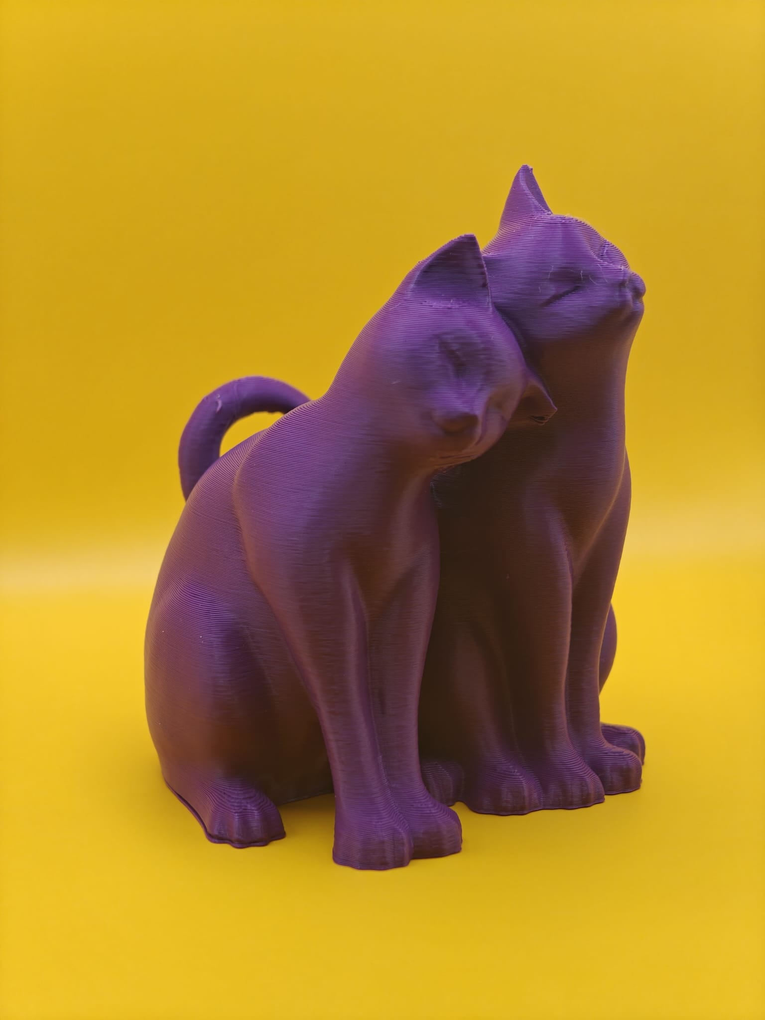Purrs & Hearts - Poetic Vision
