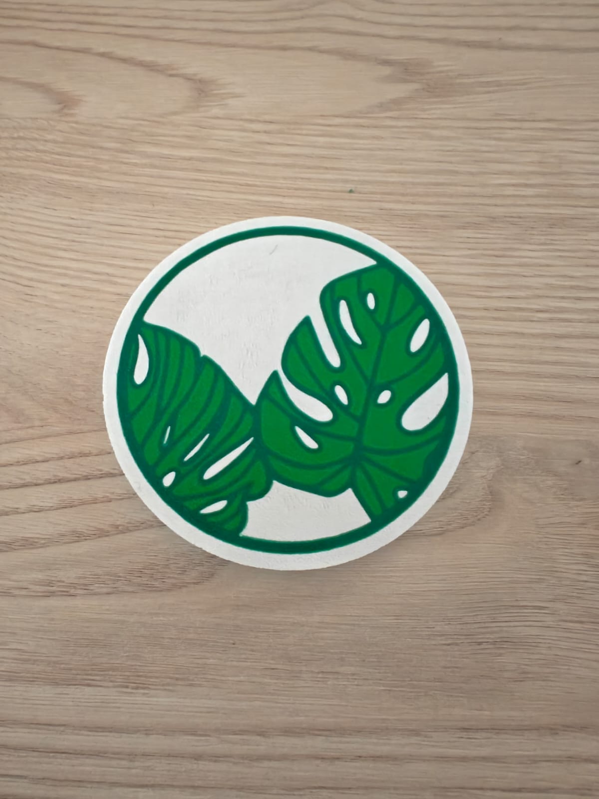 Monstera Coasters