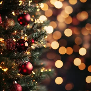 Christmas - Poetic Vision