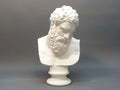 Bust of the Farnese Hercules - Poetic Vision