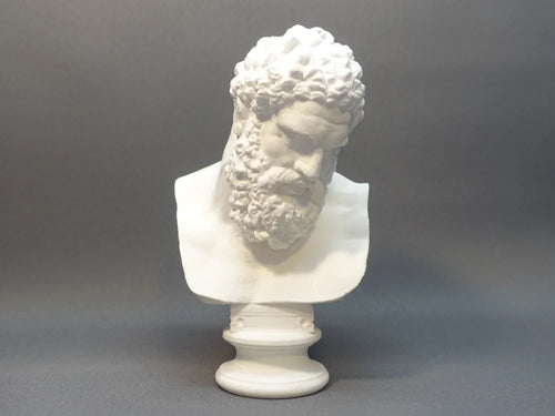 Bust of the Farnese Hercules - Poetic Vision