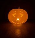 Jack O Lantern - Poetic Vision