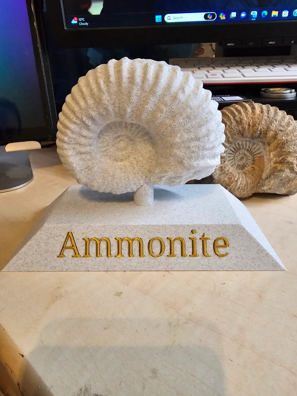 Fossil 3d scanned (ammonite)