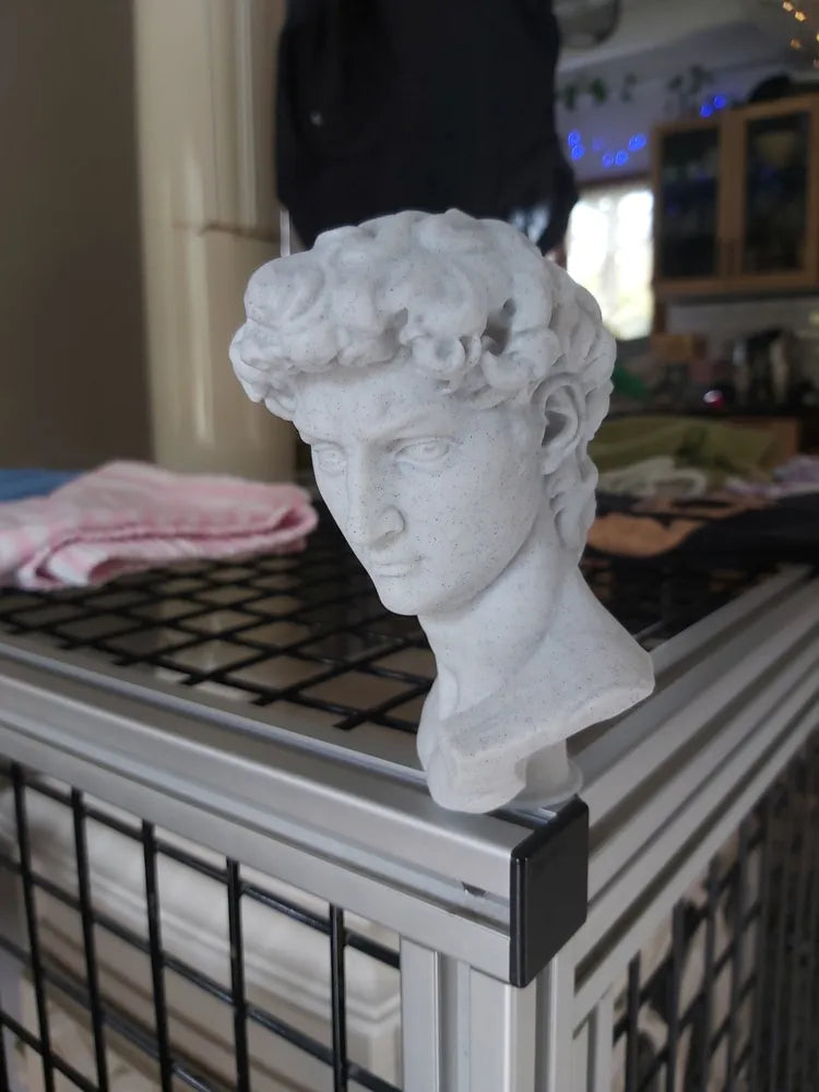 David Bust