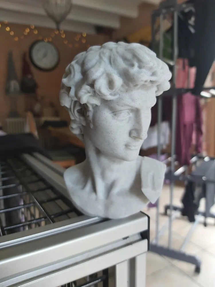 David Bust