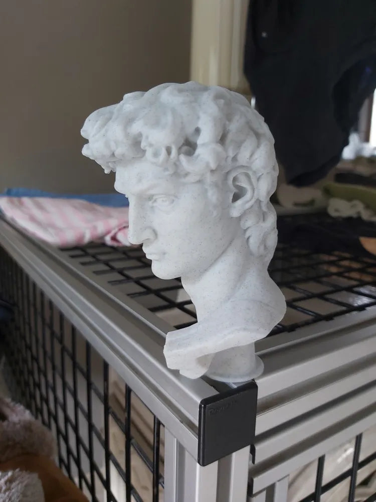 David Bust