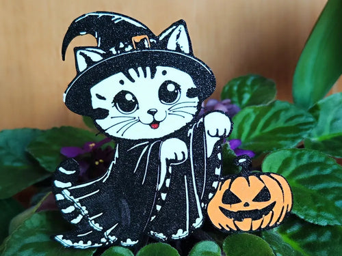 Cat Witch - Poetic Vision