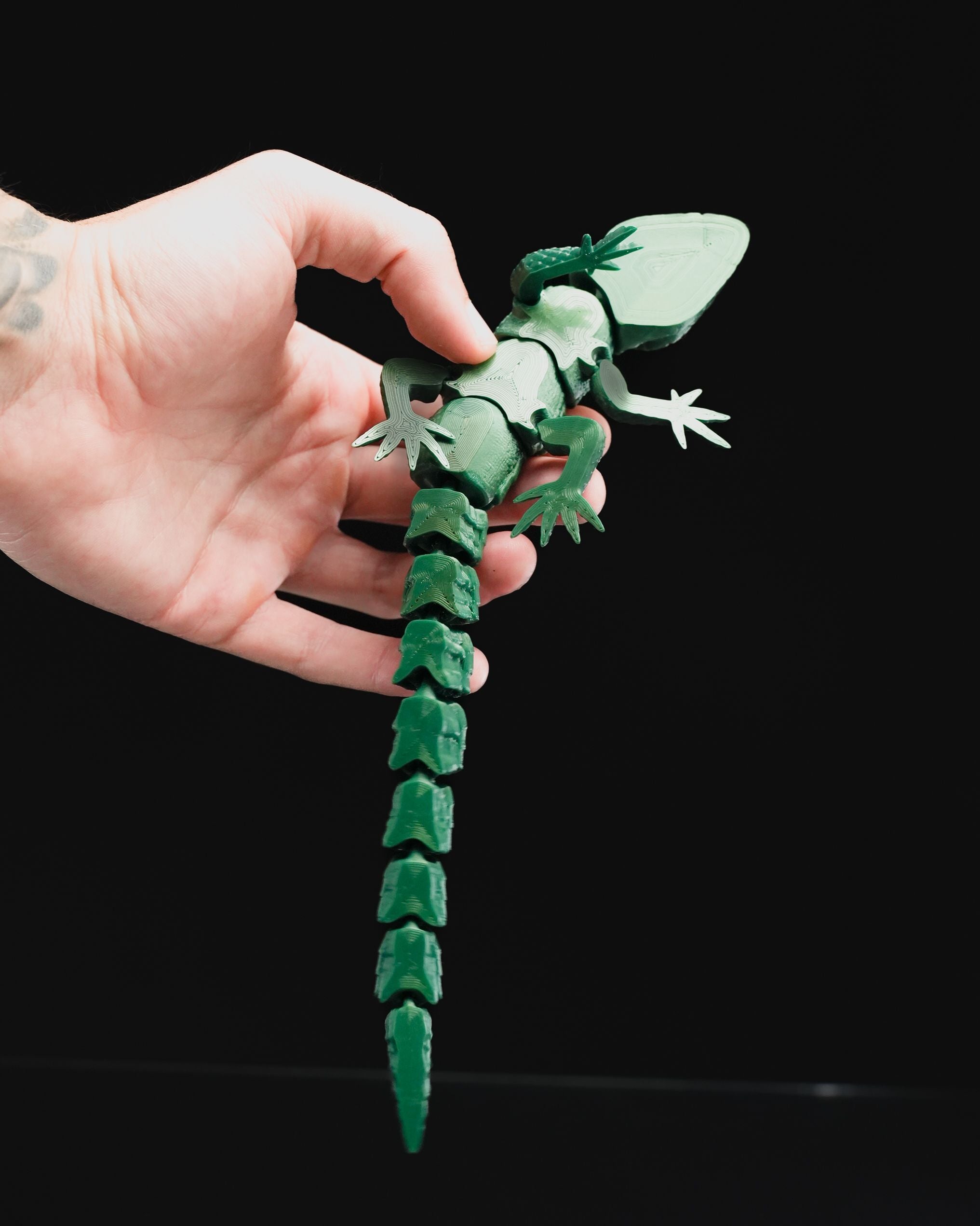 Articulated Lizard