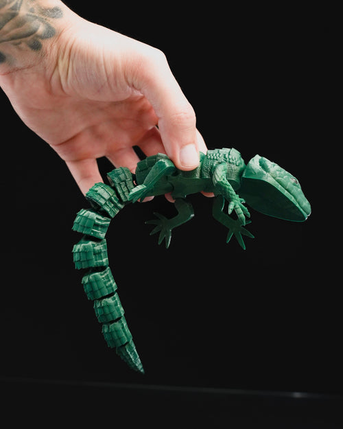 Articulated Lizard