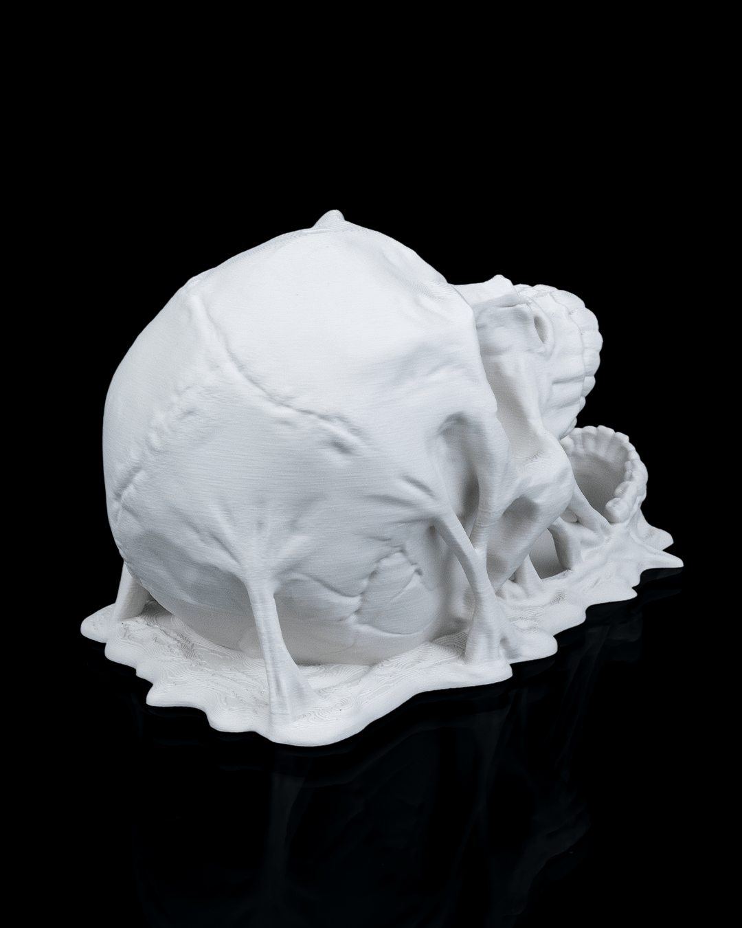 Doom Skull - Dice Tower