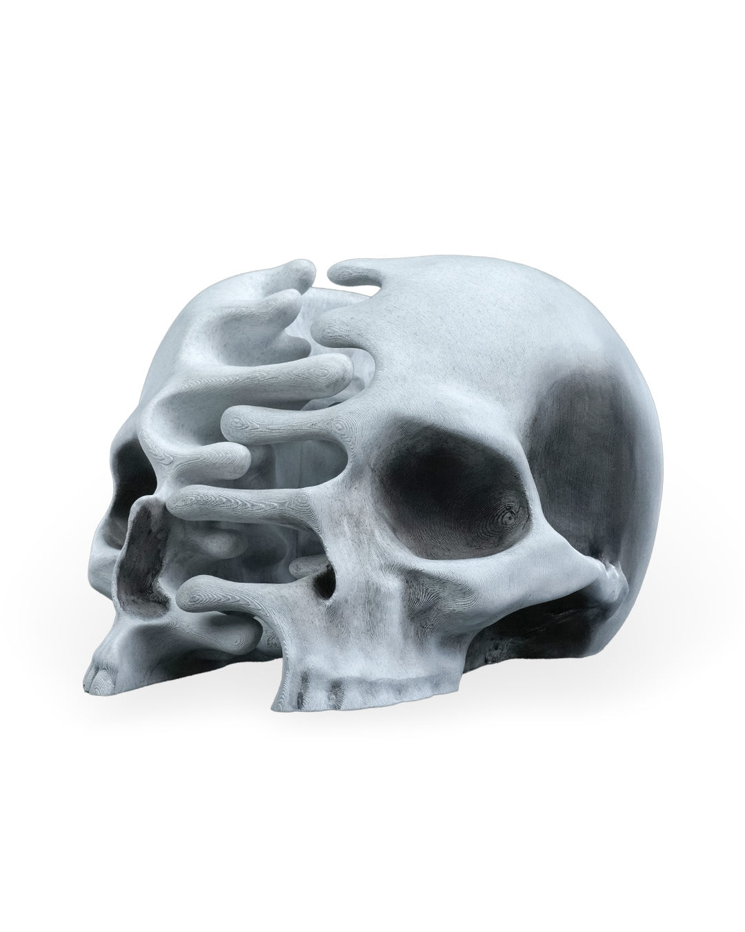 RIPped Skull