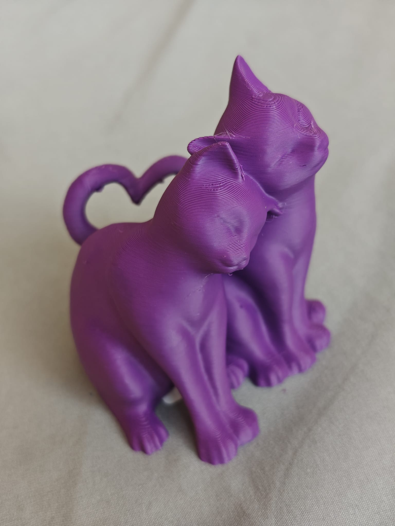Purrs & Hearts
