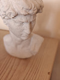 David Bust - Poetic Vision