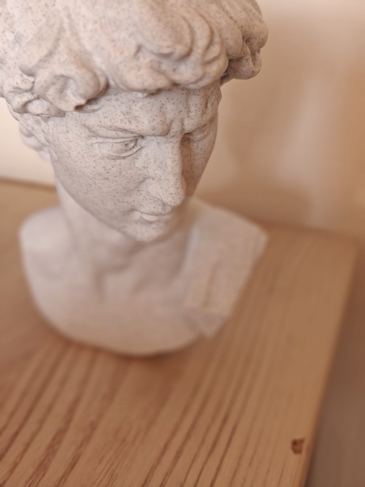 David Bust