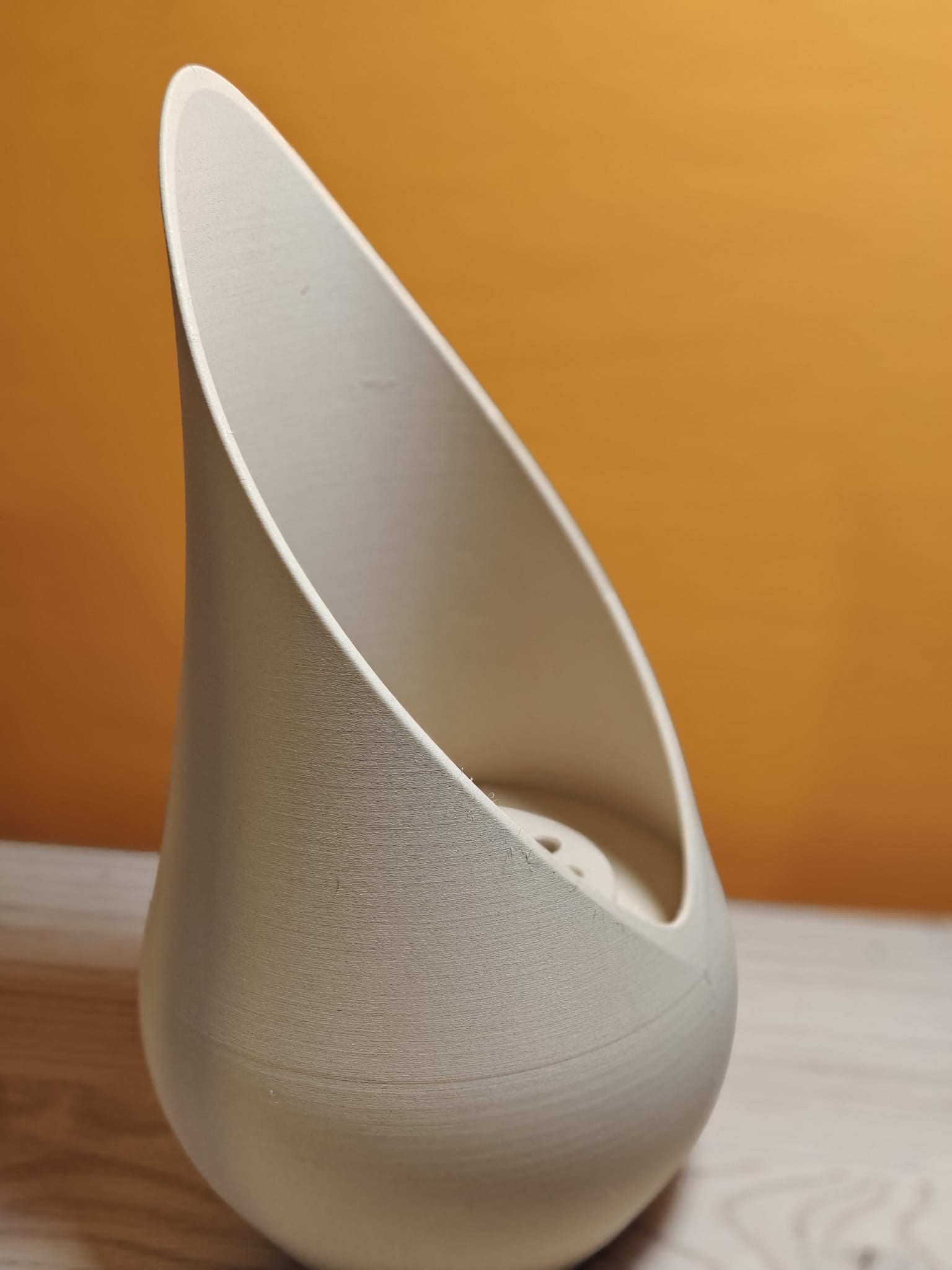 Modern Vase with Integrated Flower Frog